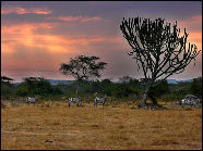 Uganda: la nostra Africa